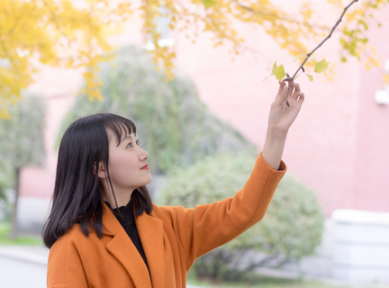 菲律宾马尼拉大排档(马尼拉大排档推荐)